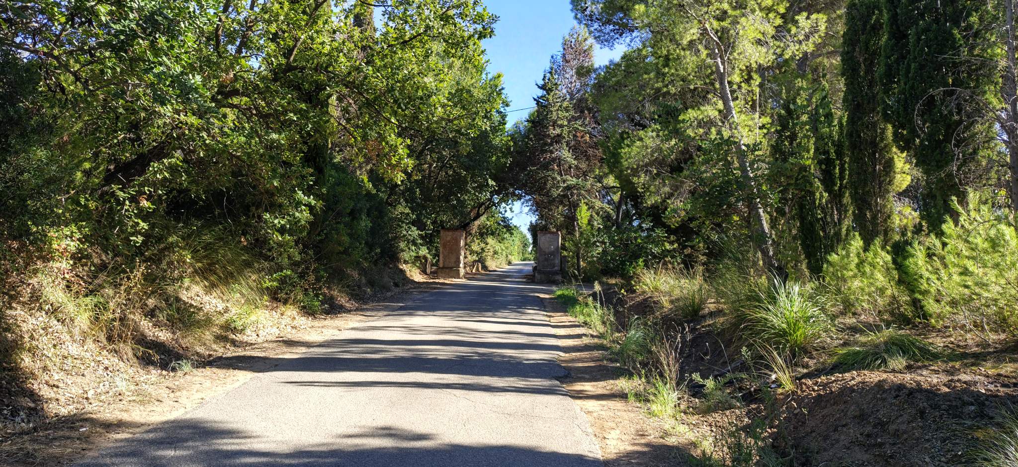 Punta Licosa
