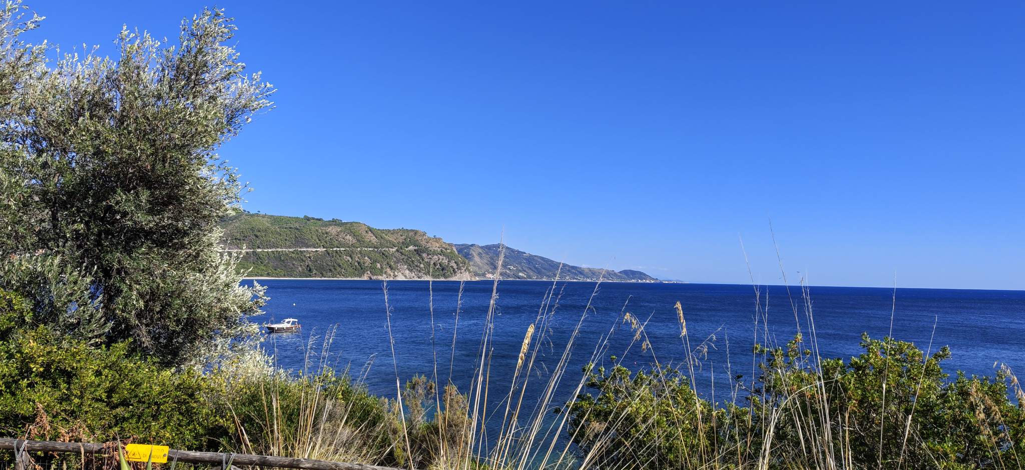 Punta Licosa