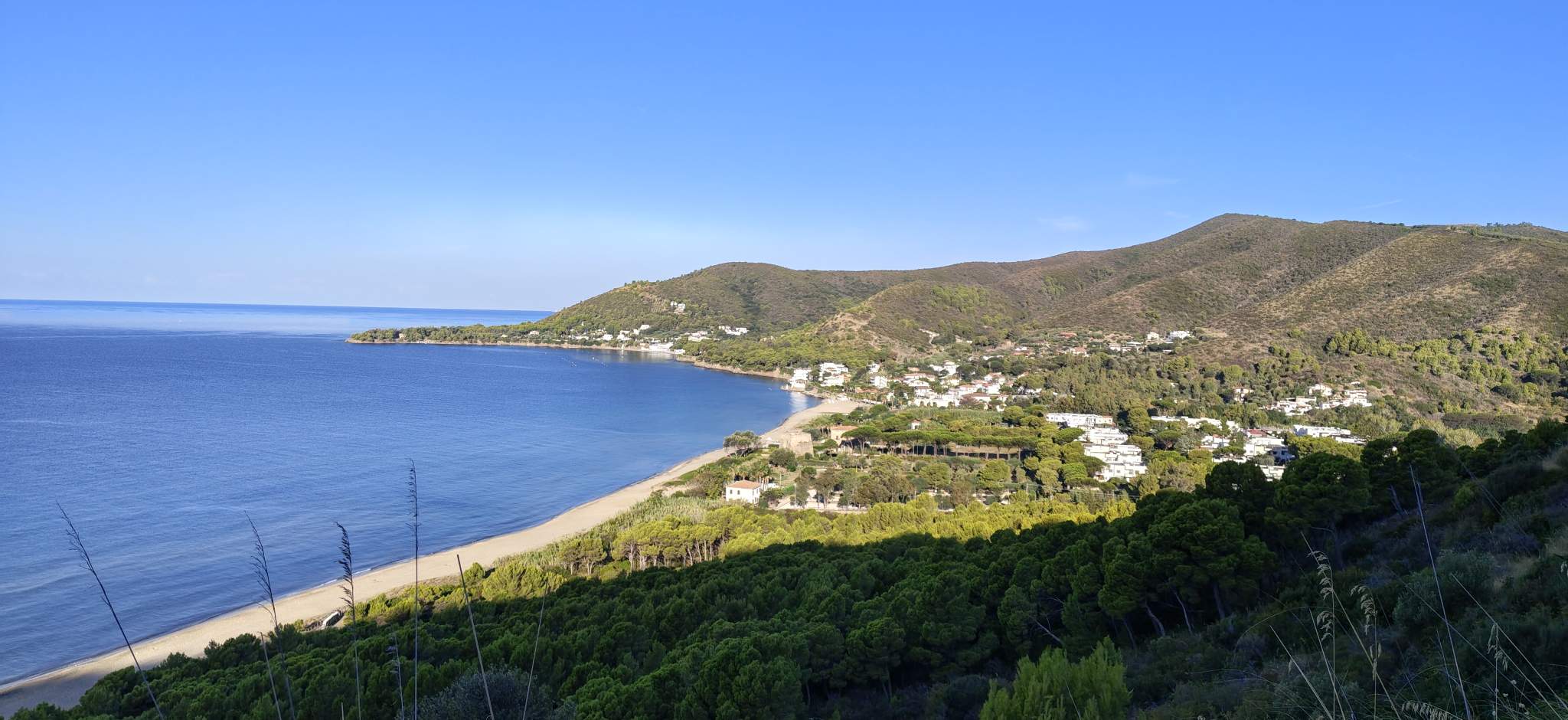 Punta Licosa