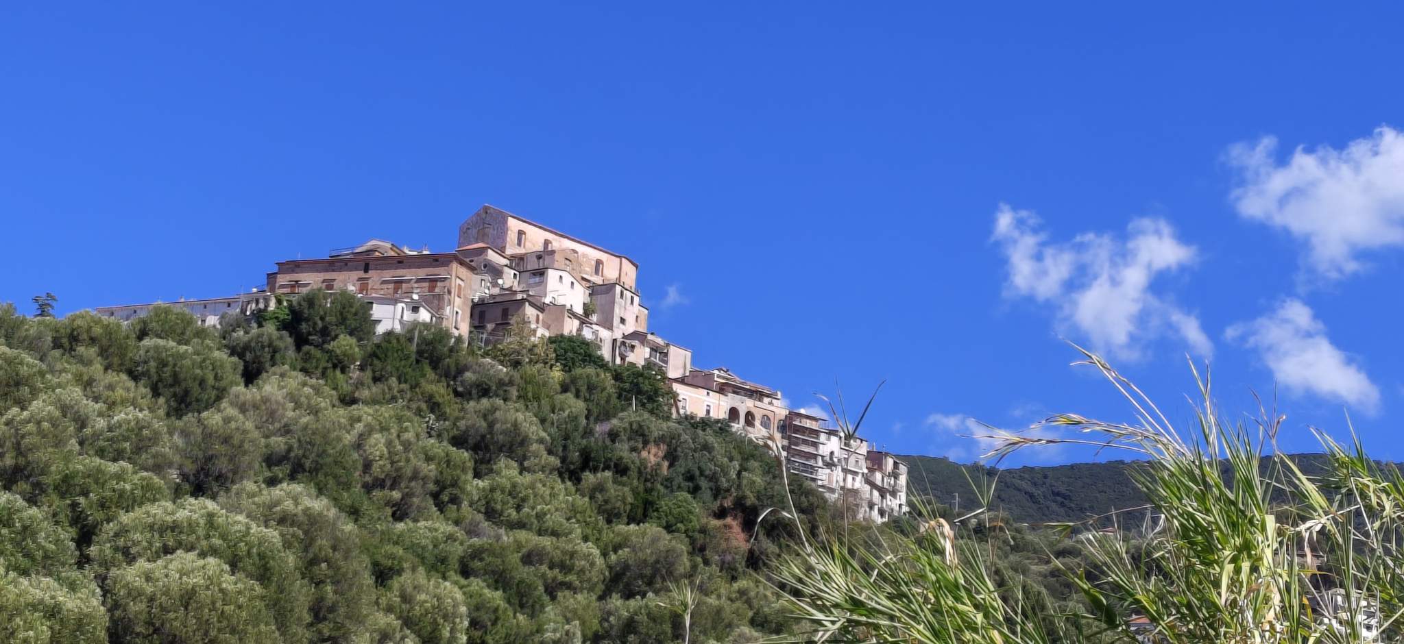 Marina di Pisciotta