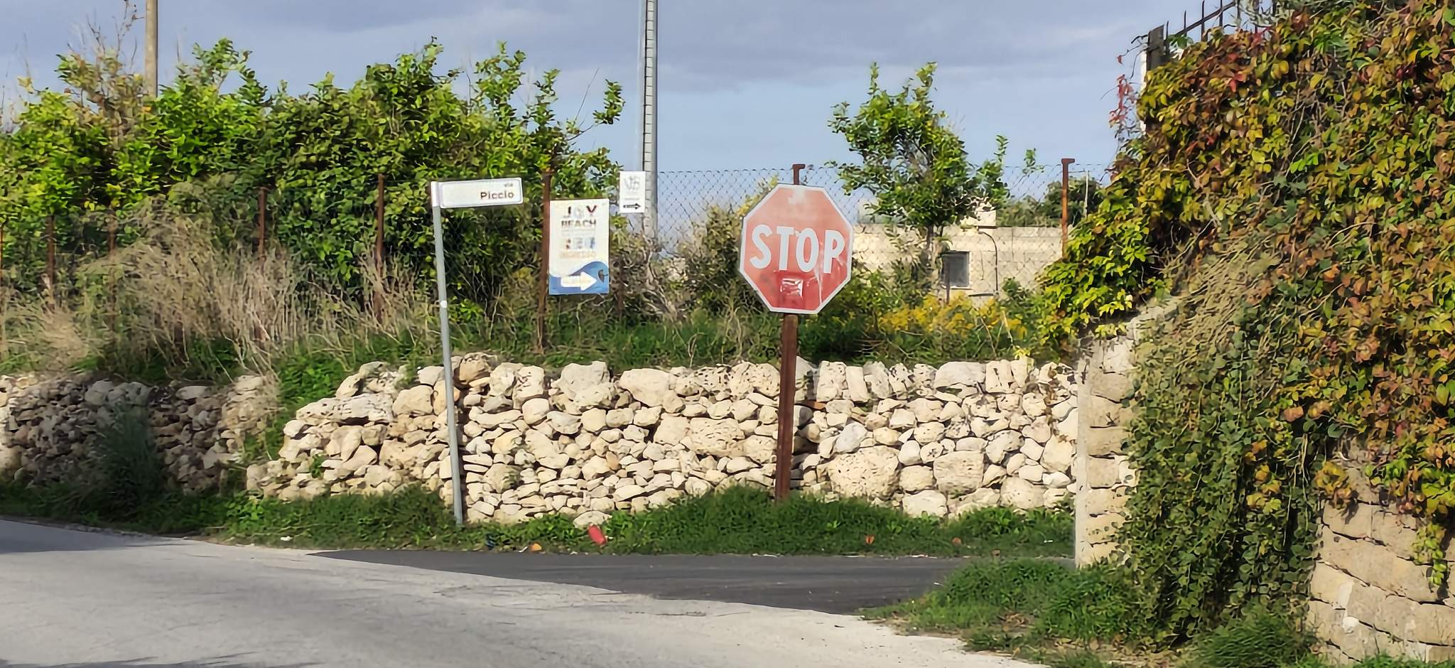 Avola