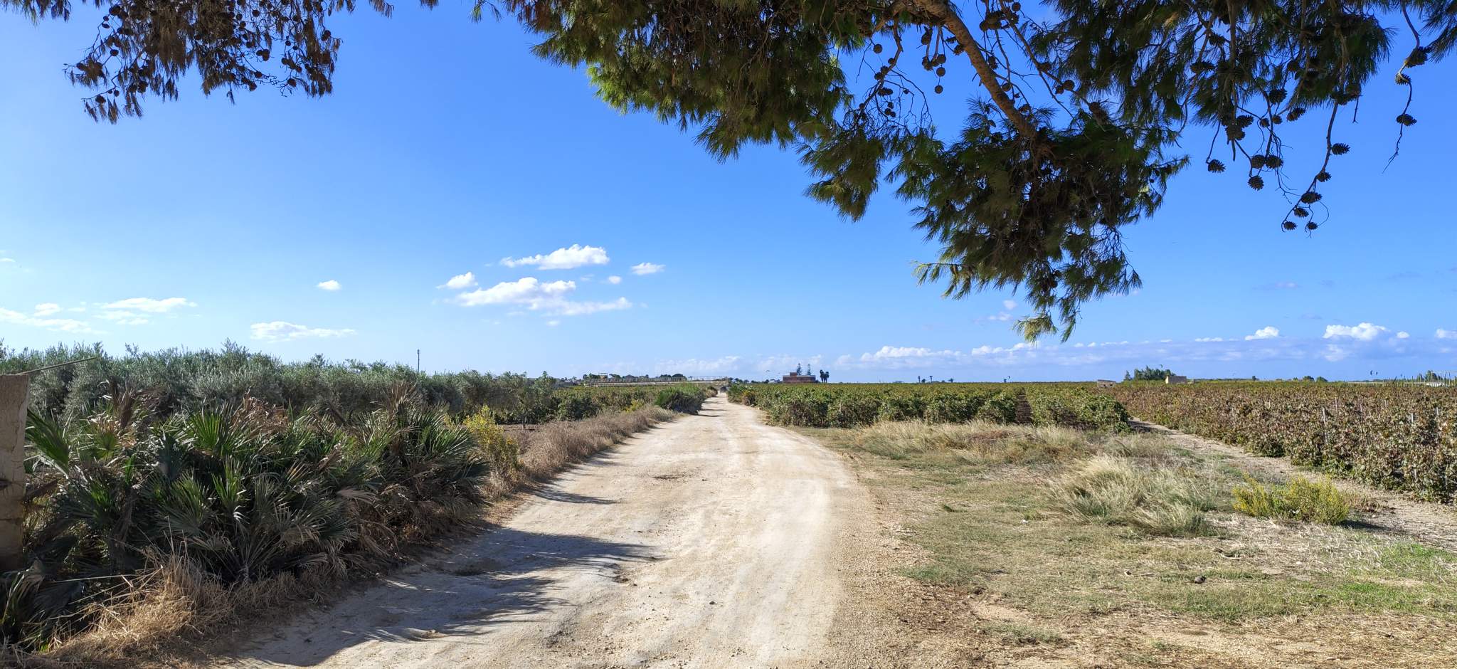 Isola di Mozia e Stagnone