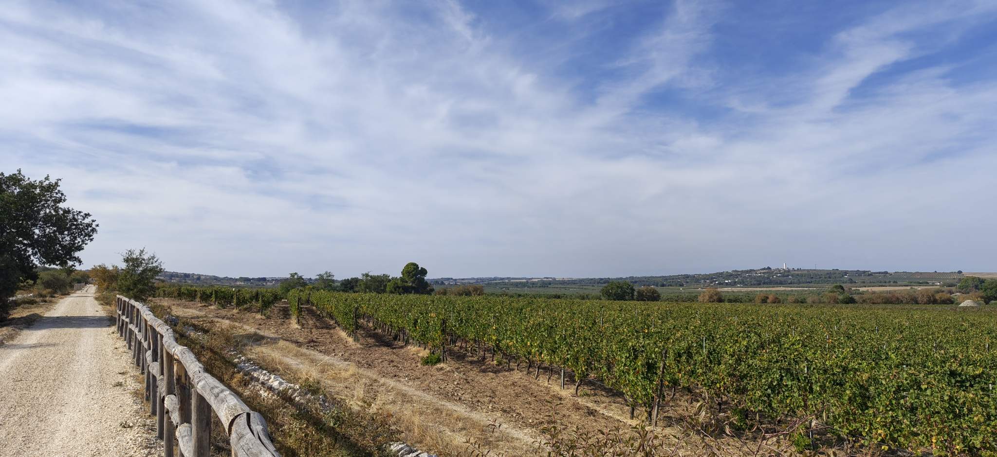 Ciclovia dell'acqua: Castel del Monte