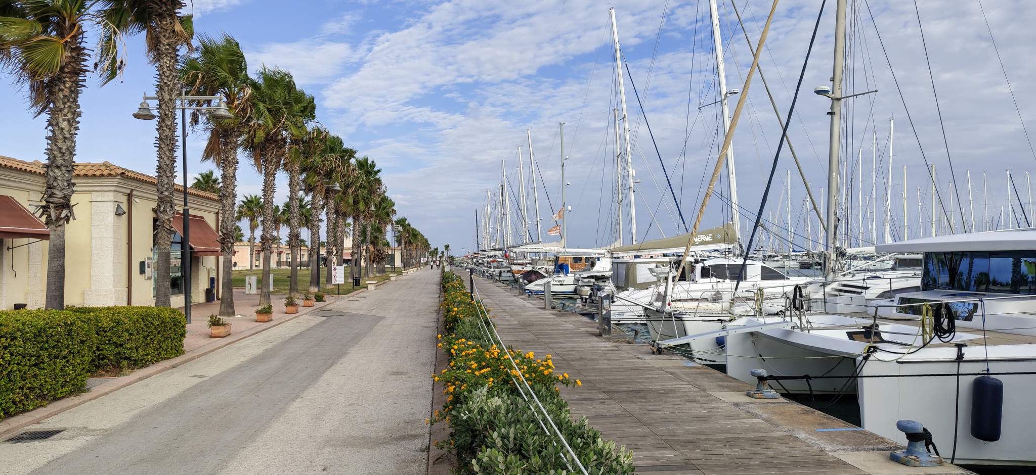 Licata