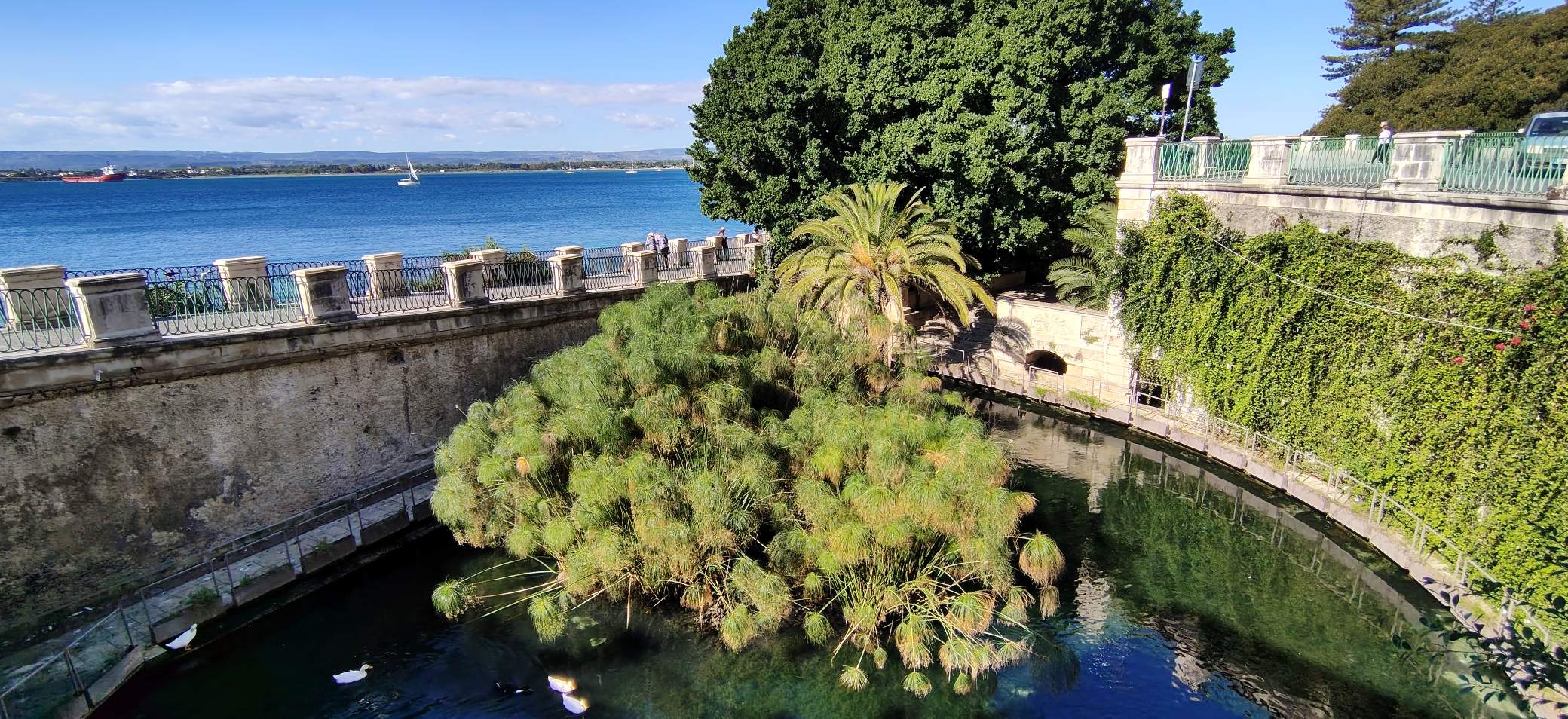 Ortigia