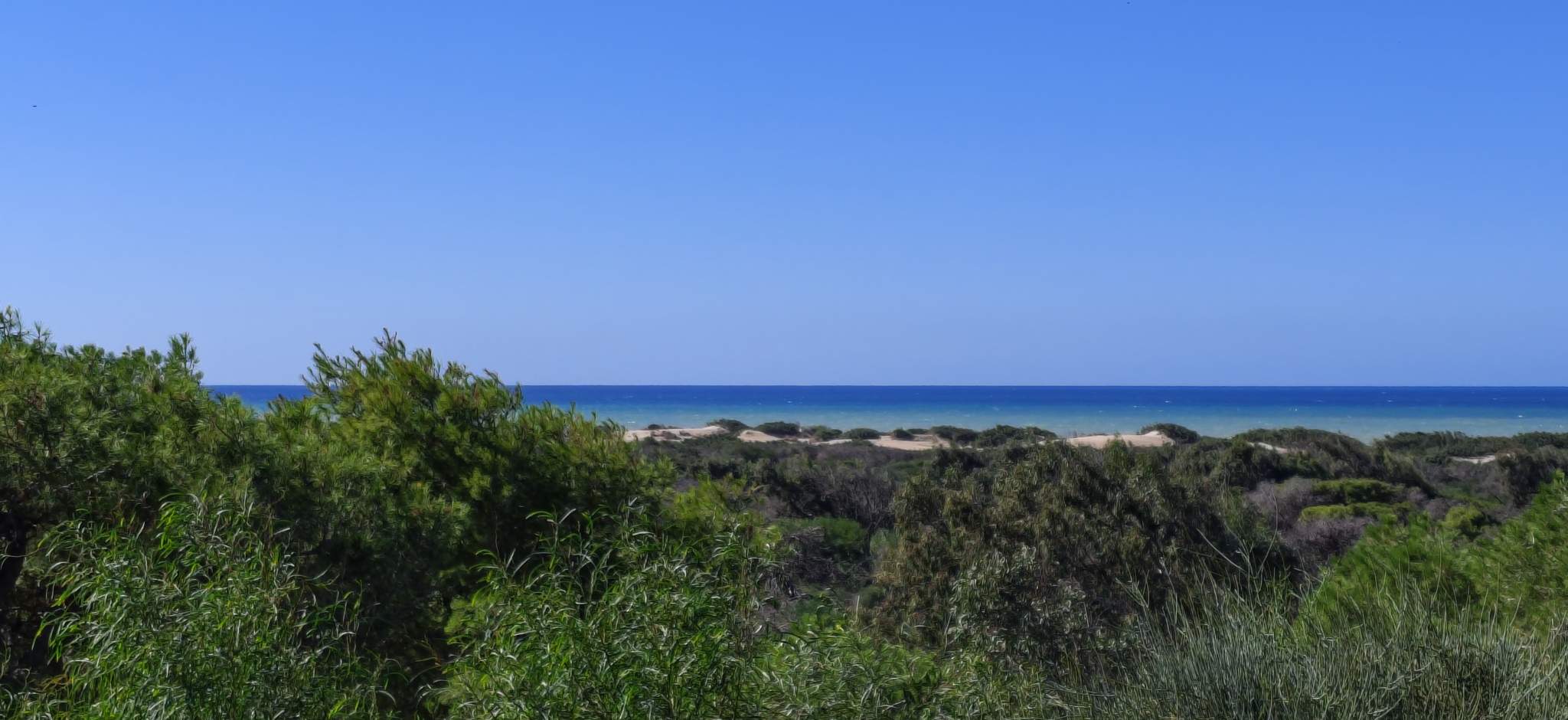 Riserva naturale di Randello