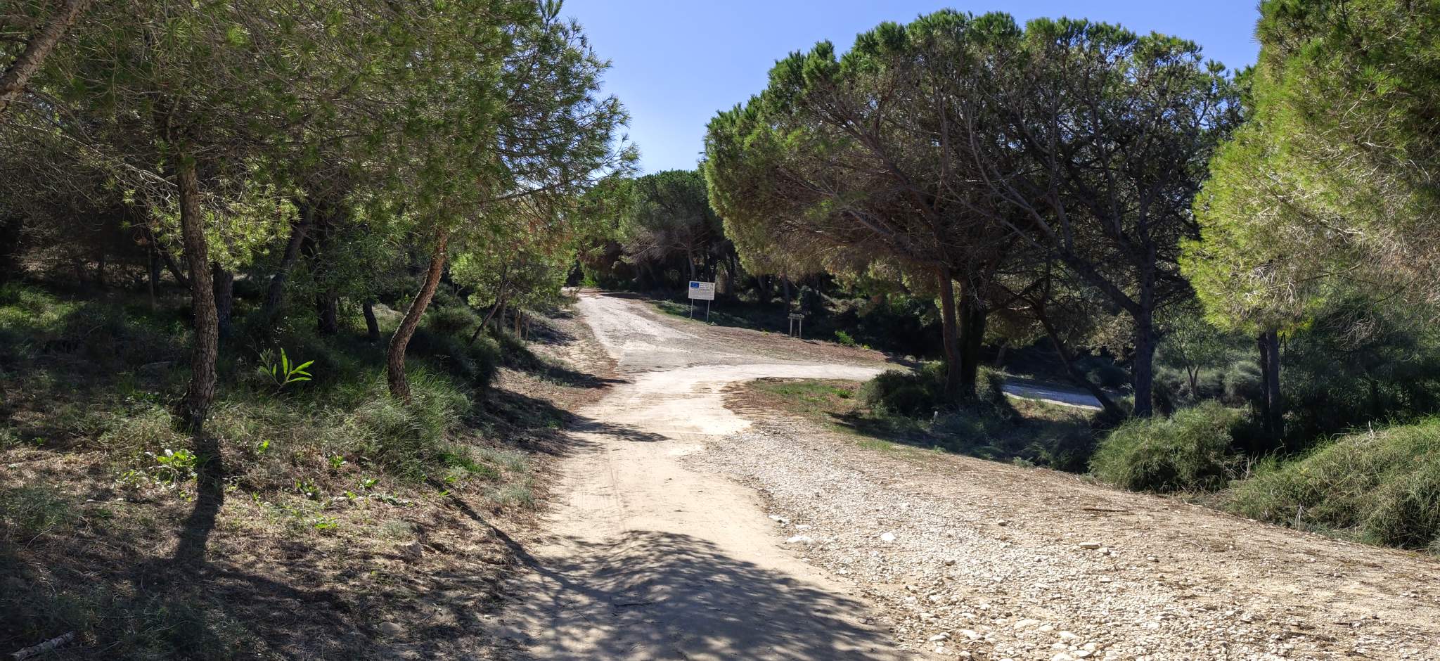 Riserva naturale di Randello