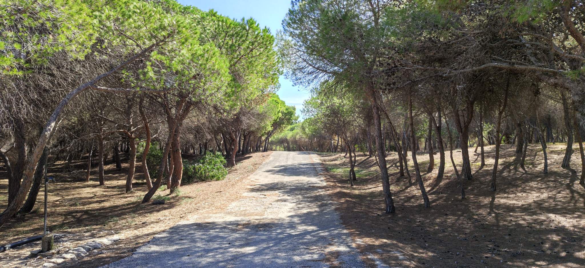 Riserva naturale di Randello