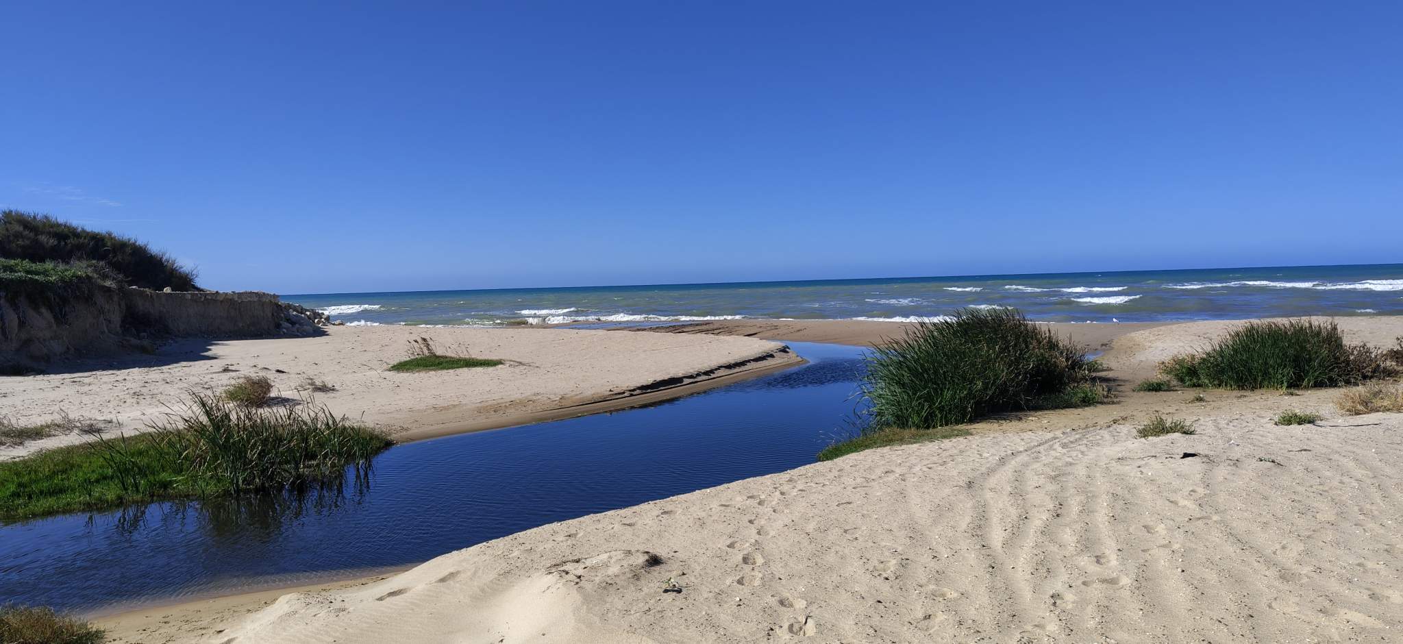 Scoglitti