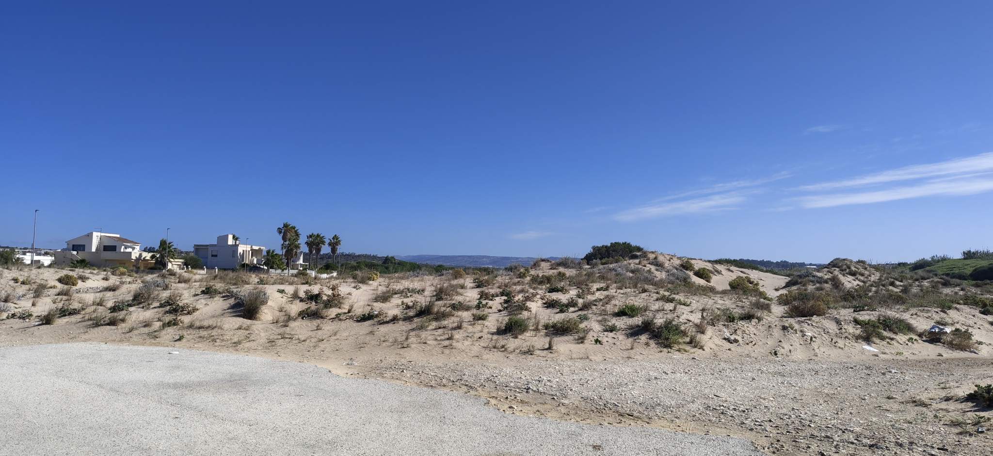 Scoglitti