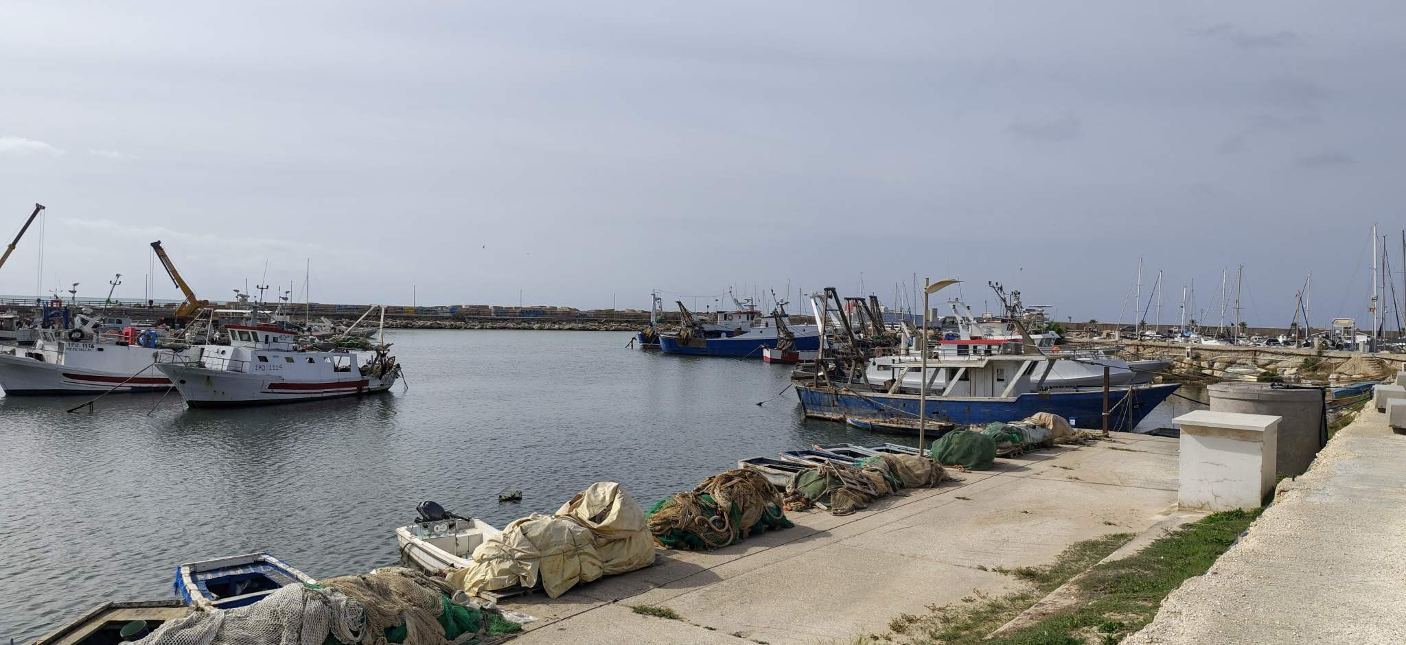 Scoglitti