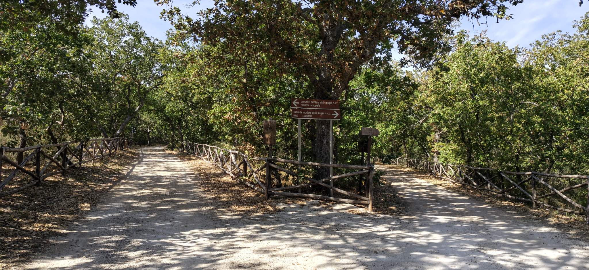 Ciclovia dell'acqua: Foresta di Scoparella
