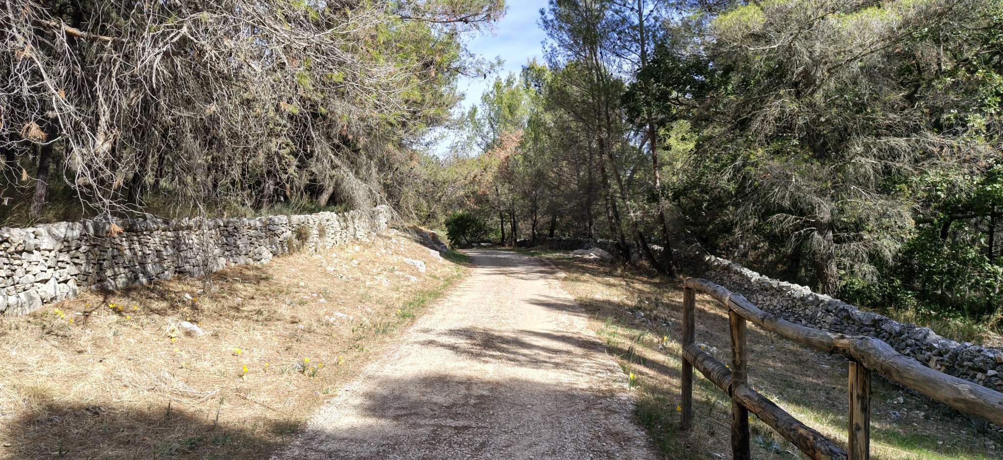 Ciclovia dell'acqua: Foresta di Scoparella