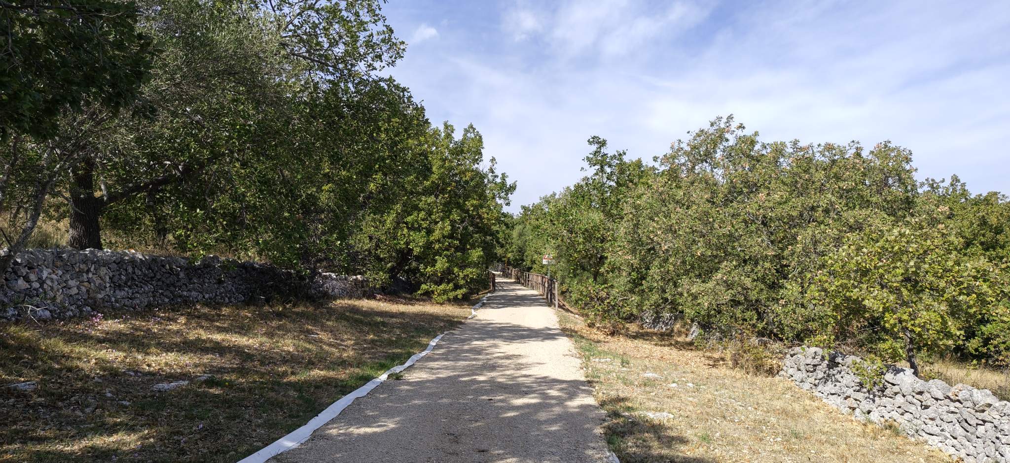 Ciclovia dell'acqua: Foresta di Scoparella