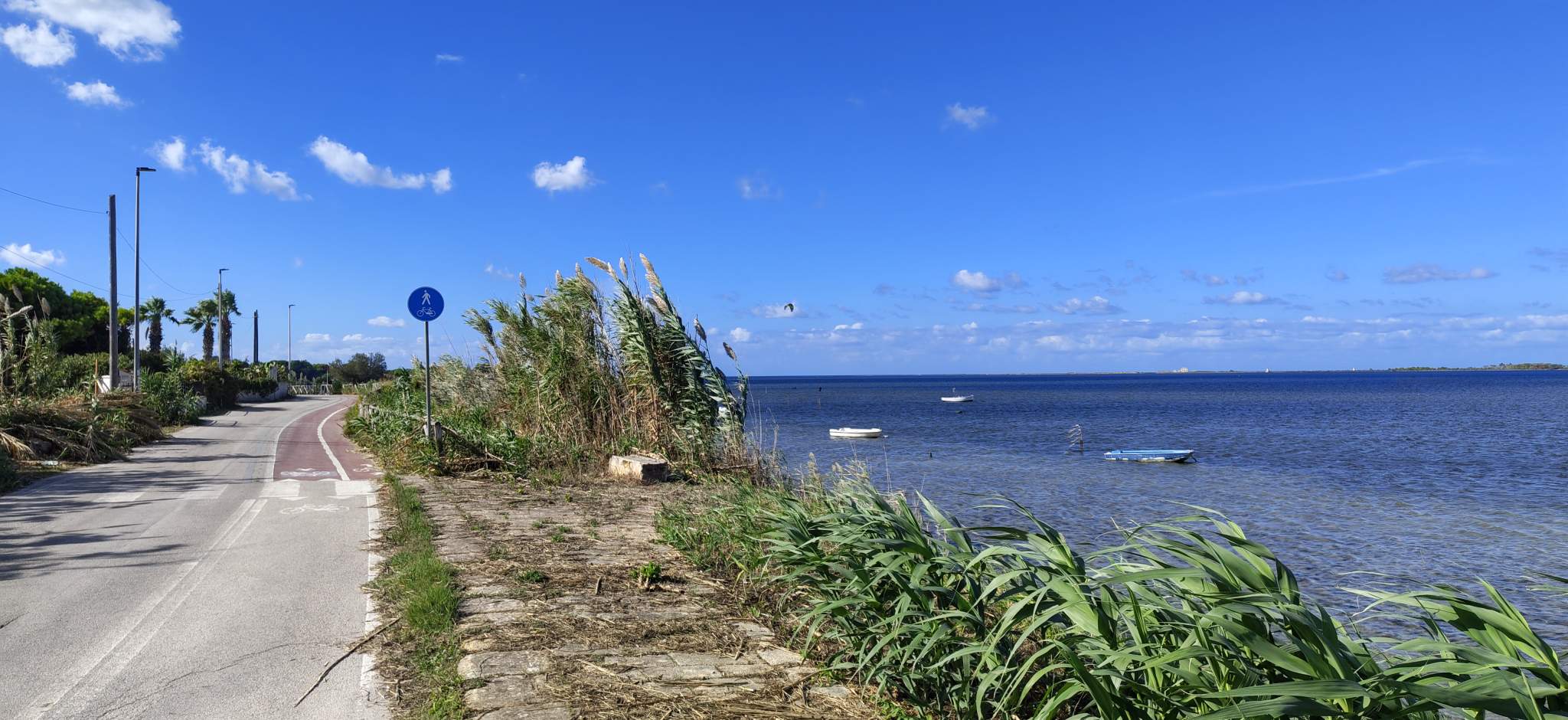 Isola di Mozia e Stagnone